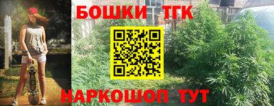 альфа пвп Заводоуковск