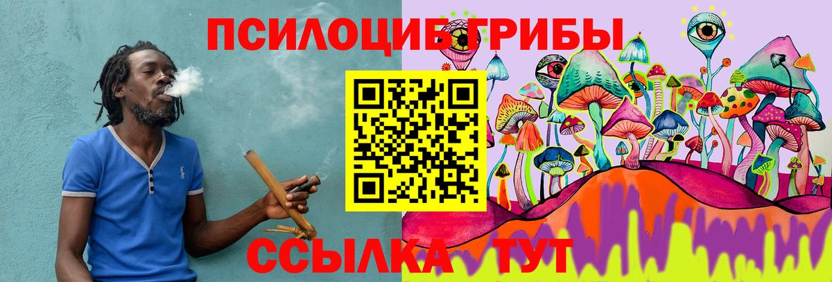 APVP Заинск
