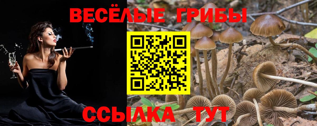 Псилоцибиновые грибы Magic Shrooms  Вход с VPN  Заинск  Галлюциногенные грибы Psilocybine cubensis 