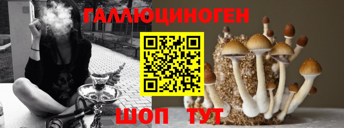 Псилоцибиновые грибы прущие грибы Заинск